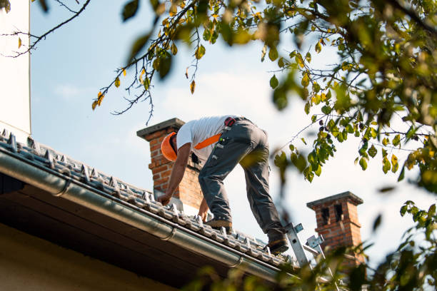 Best Roof Moss and Algae Removal  in Wyomissing, PA