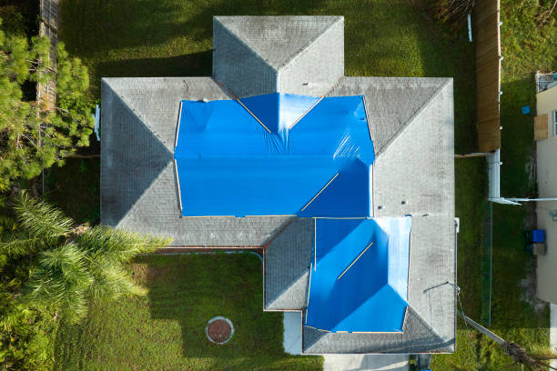 Best Roof Coating and Sealing  in Wyomissing, PA