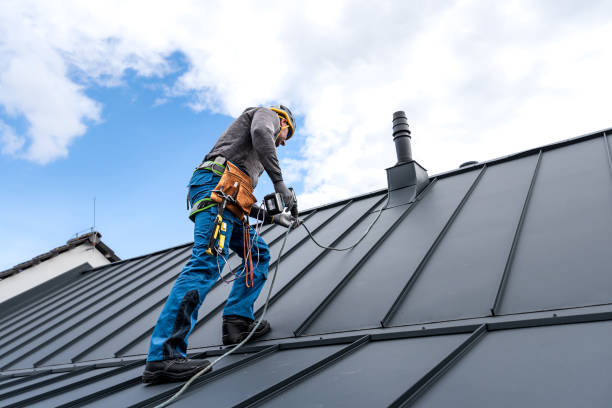 Best Roof Maintenance and Cleaning  in Wyomissing, PA